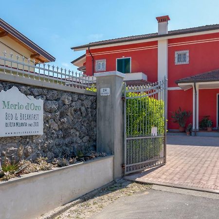 Merlo D'Oro Карара Екстериор снимка